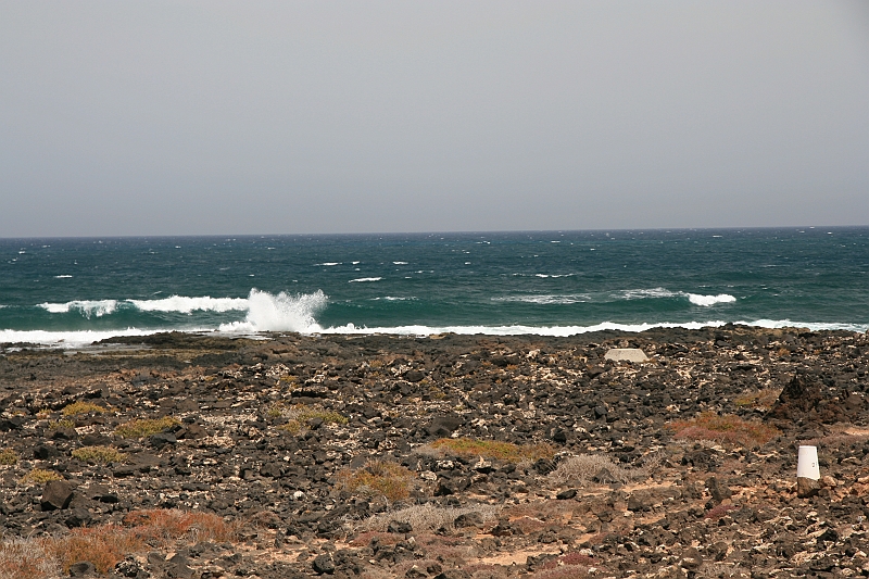 Kanary_2010 123